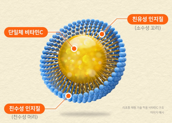 리포즘멀티비타민 천연 종합비타민 출산후영양제 임산부 60캡슐 - 상세 이미지 4