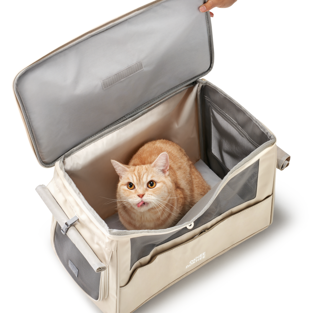 옥희독희 1.3kg 초경량 안전 위로열림 고양이 이동장 강아지 산책 이동 가방 애견 캐리어