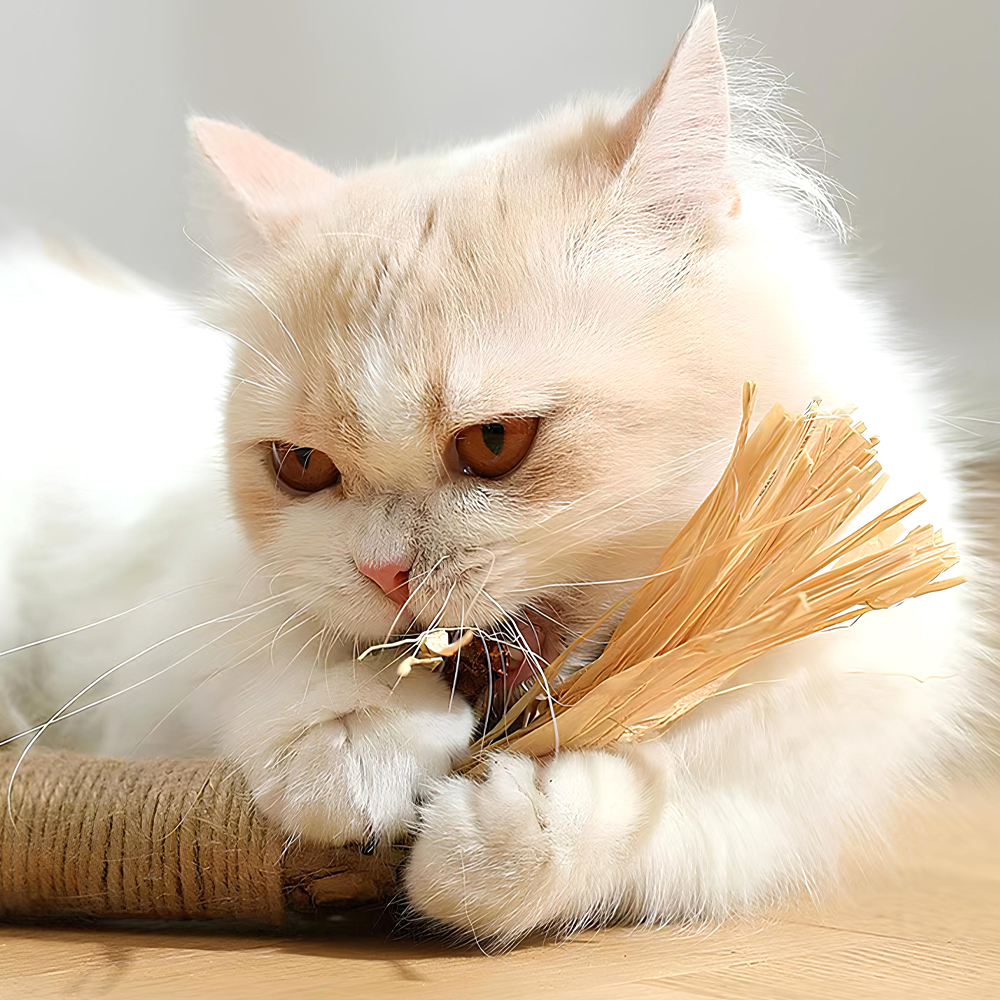 랩캣 고양이 슈퍼 왕따따비 사이잘 스틱 마따따비 캣닢 깃털 장난감 이미지 3