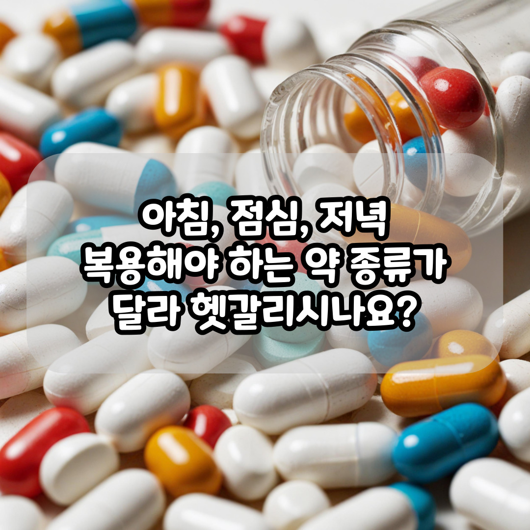약달력 포켓 주간 약먹는 달력 용돈 생활비 DD093 - 상세 이미지 4