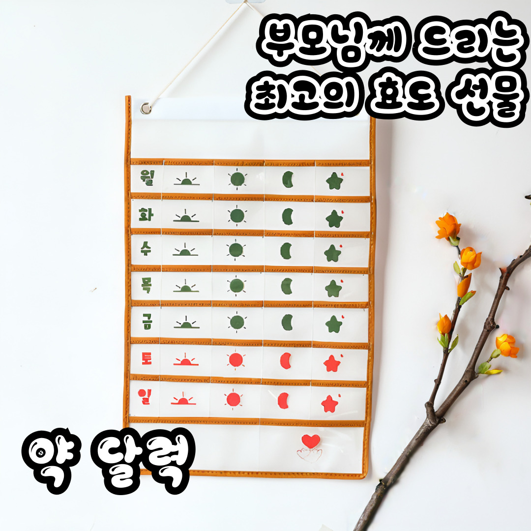약달력 포켓 주간 약먹는 달력 용돈 생활비 DD093 - 상세 이미지 5
