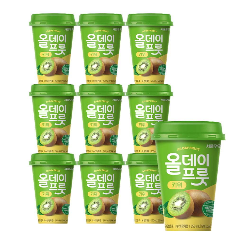 서울우유 올데이프룻 250ml X 10입 키위맛 : 에코네이쳐.