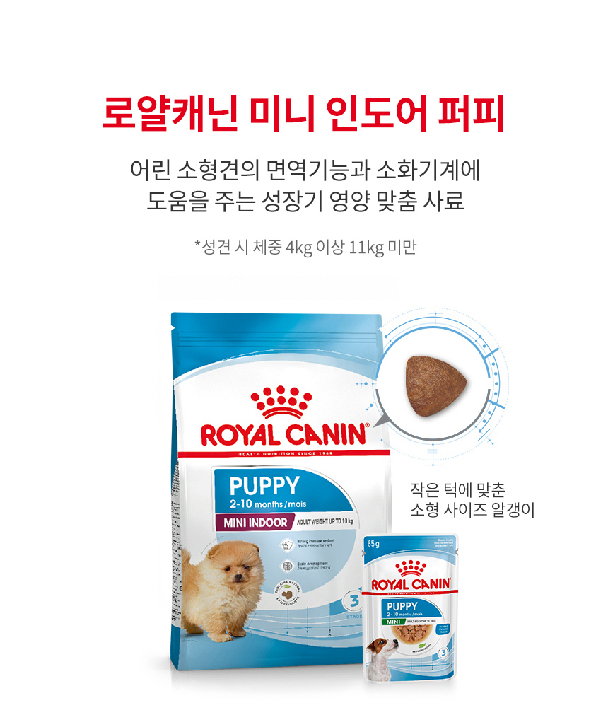 로얄캐닌 독 미니 인도어 퍼피, 500g, 1개 - 상세 이미지 5