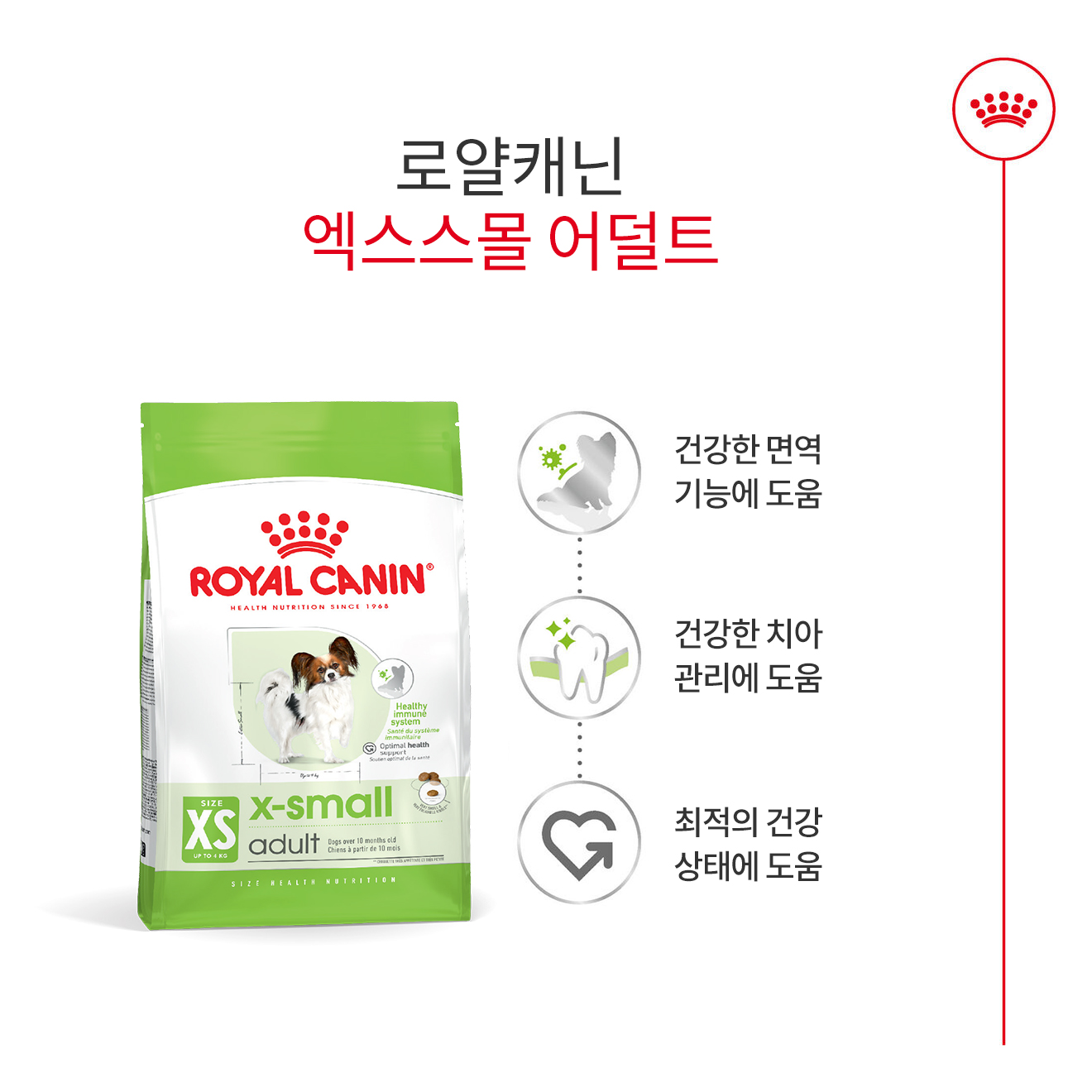 로얄캐닌 독 연령별 사료 엑스스몰 어덜트, 500g, 1개 - 상세 이미지 2