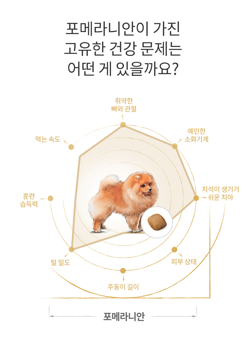 로얄캐닌 독 포메라니안 어덜트, 1.5kg, 1개 이미지 6