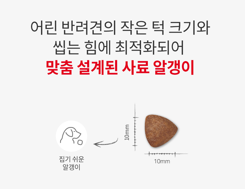 로얄캐닌 독 미니 퍼피, 8kg, 1개 이미지 8