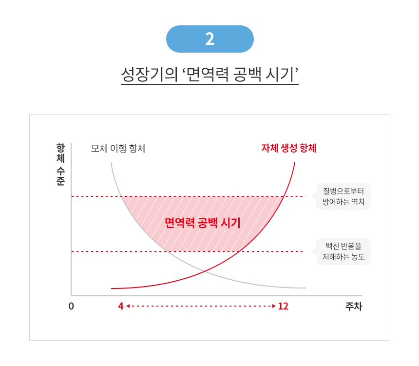 로얄캐닌 독 미니 스타터 M&B 연령별 사료 마더 베이비, 1kg, 1개 이미지 6