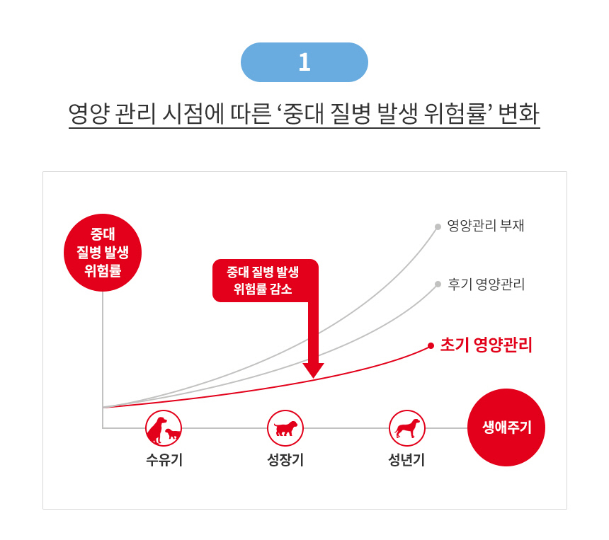 로얄캐닌 독 미니 스타터 M&B 연령별 사료 마더 베이비, 1kg, 1개 - 상세 이미지 5