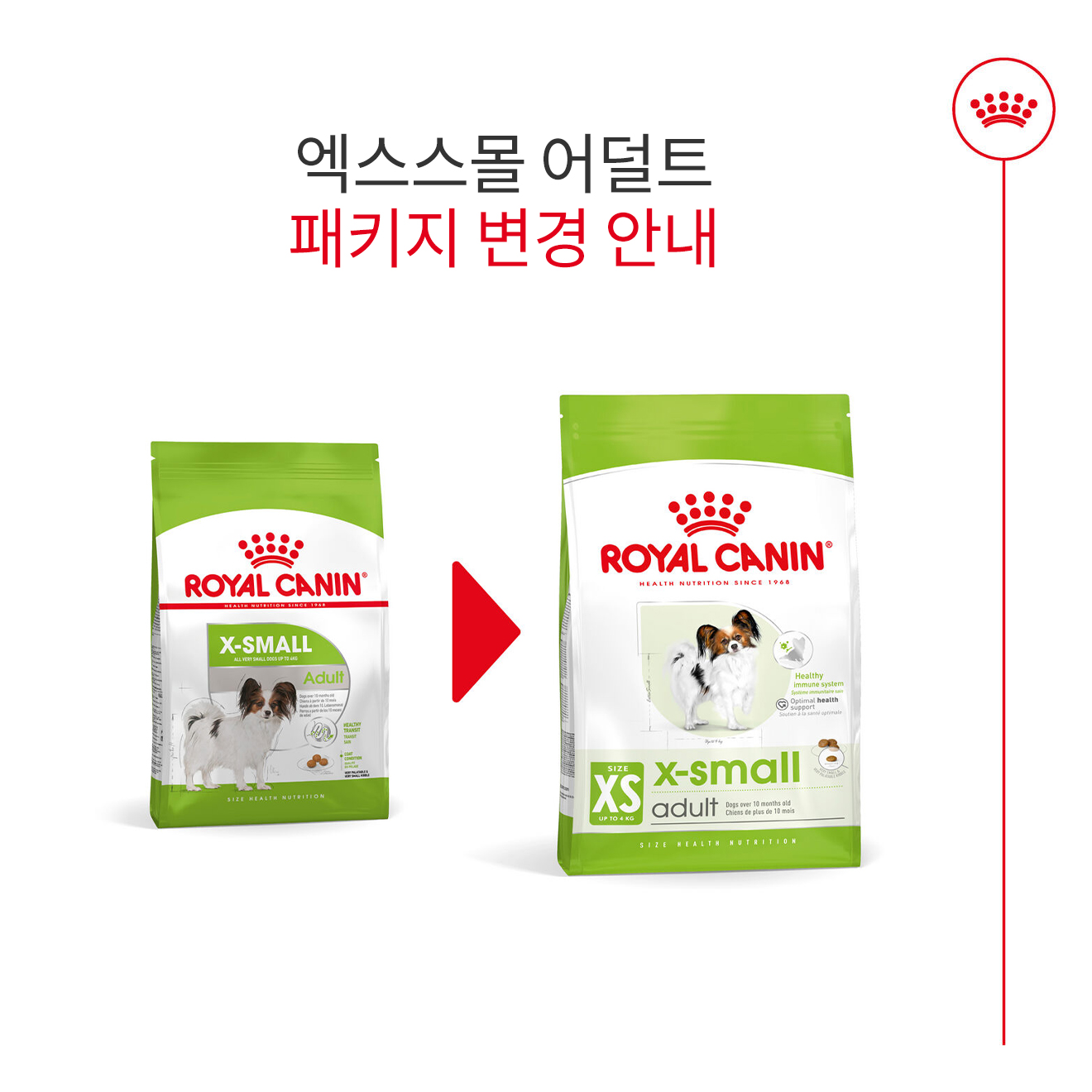 로얄캐닌 독 연령별 사료 엑스스몰 어덜트, 500g, 1개 - 상세 이미지 4