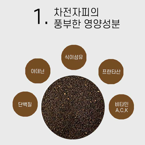 웰러스 내리고올리고 30포 6개 6개월 장 피부 건강 차전자피 히알루론산 엘라스틴 콜라겐 - 상세 이미지 5
