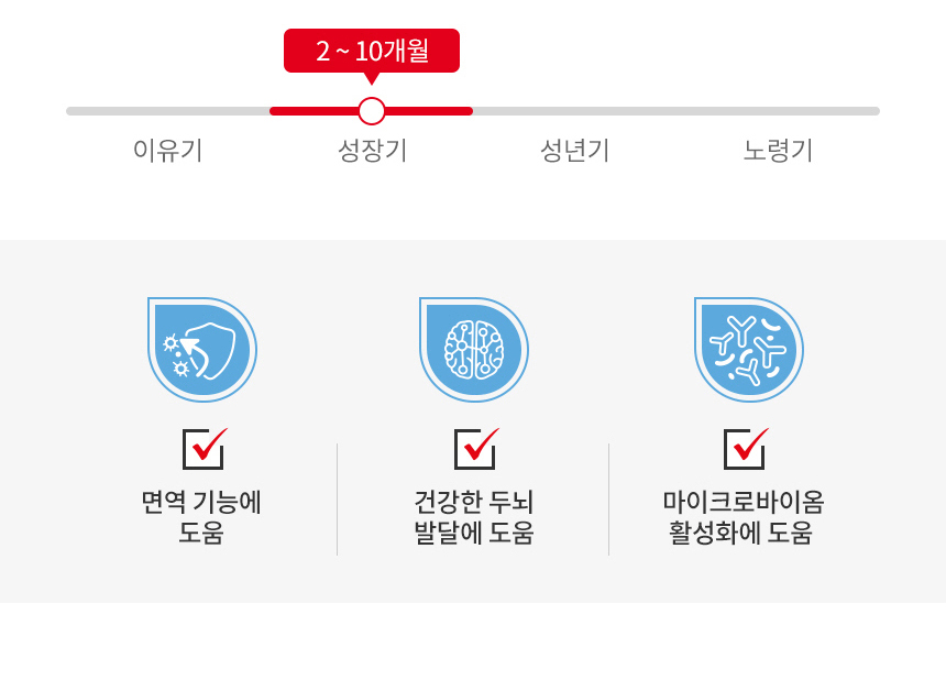 로얄캐닌 독 미니 인도어 퍼피, 500g, 1개 이미지 6
