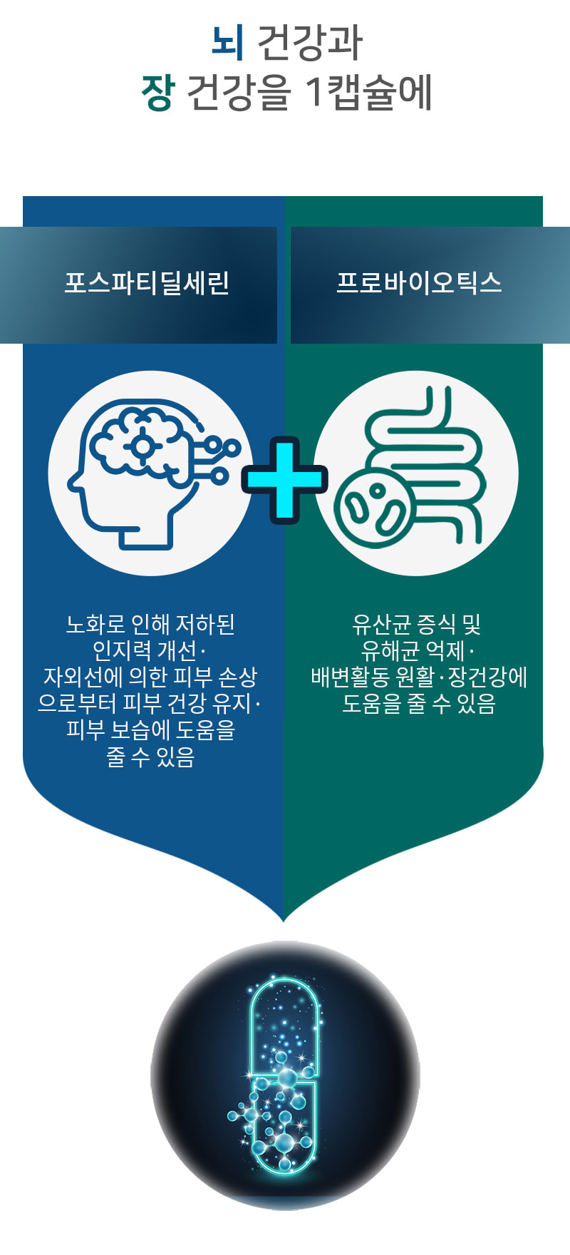 인지력 케어 포스파티딜세린 PS 유산균  2g 30포 1개월분 비타민 D E 함유 - 상세 이미지 3