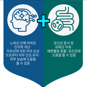 인지력 케어 포스파티딜세린 PS 유산균  2g 30포 1개월분 비타민 D... 맛있게 먹은 솔직 후기 - 상품 이미지 3