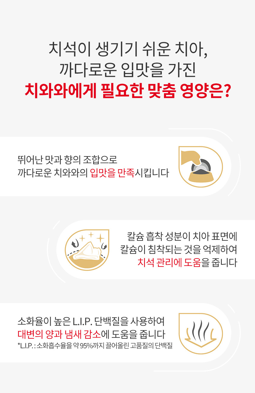 [유통기한 2026.09.28] 로얄캐닌 독 치와와 어덜트, 500g, 1개