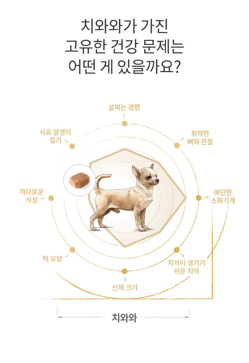 [유통기한 2026.09.28] 로얄캐닌 독 치와와 어덜트, 500g, 1개