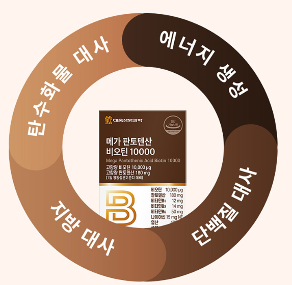 비오틴 판토텐산 맥주효모비오틴10000 100000 - 상세 이미지 4