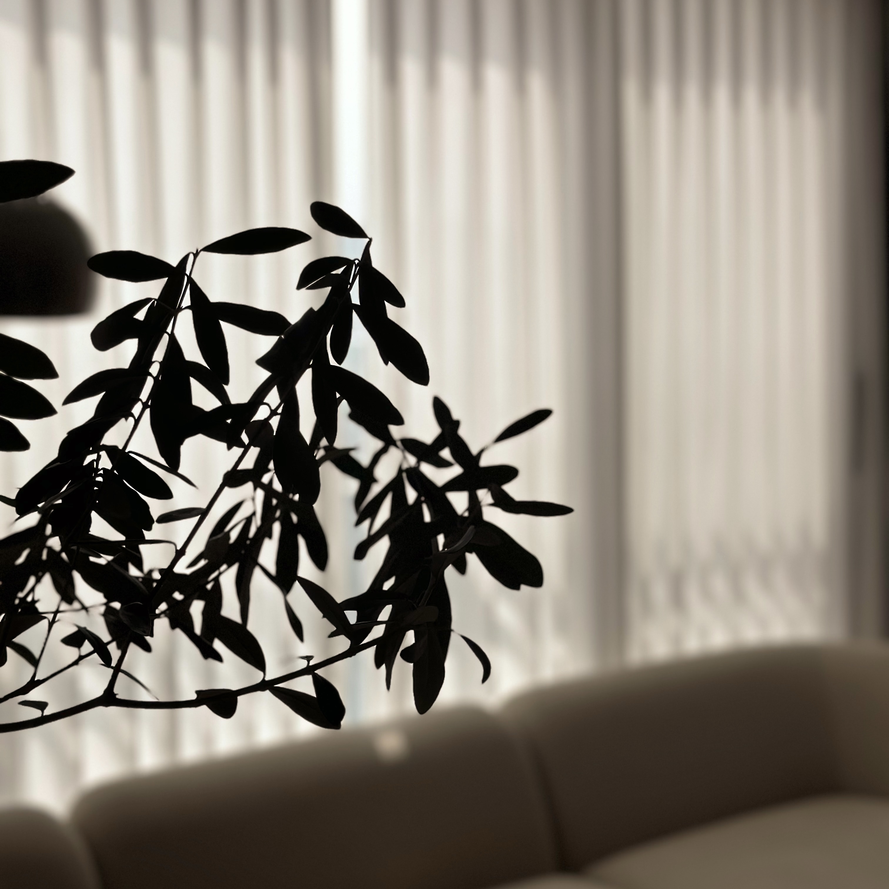 아르일랑 2배 베이직 나비주름 쉬폰 차르르 커튼 1cm 심플 도톰 화이트 형상기억