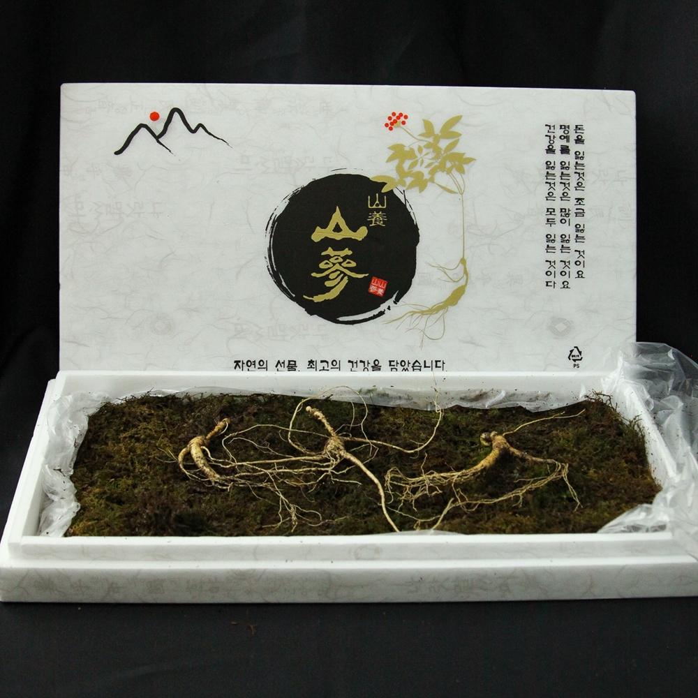 프리미엄 산양삼 자연산산삼 15년산 20년산 고급 선물세트 - 상세 이미지 4