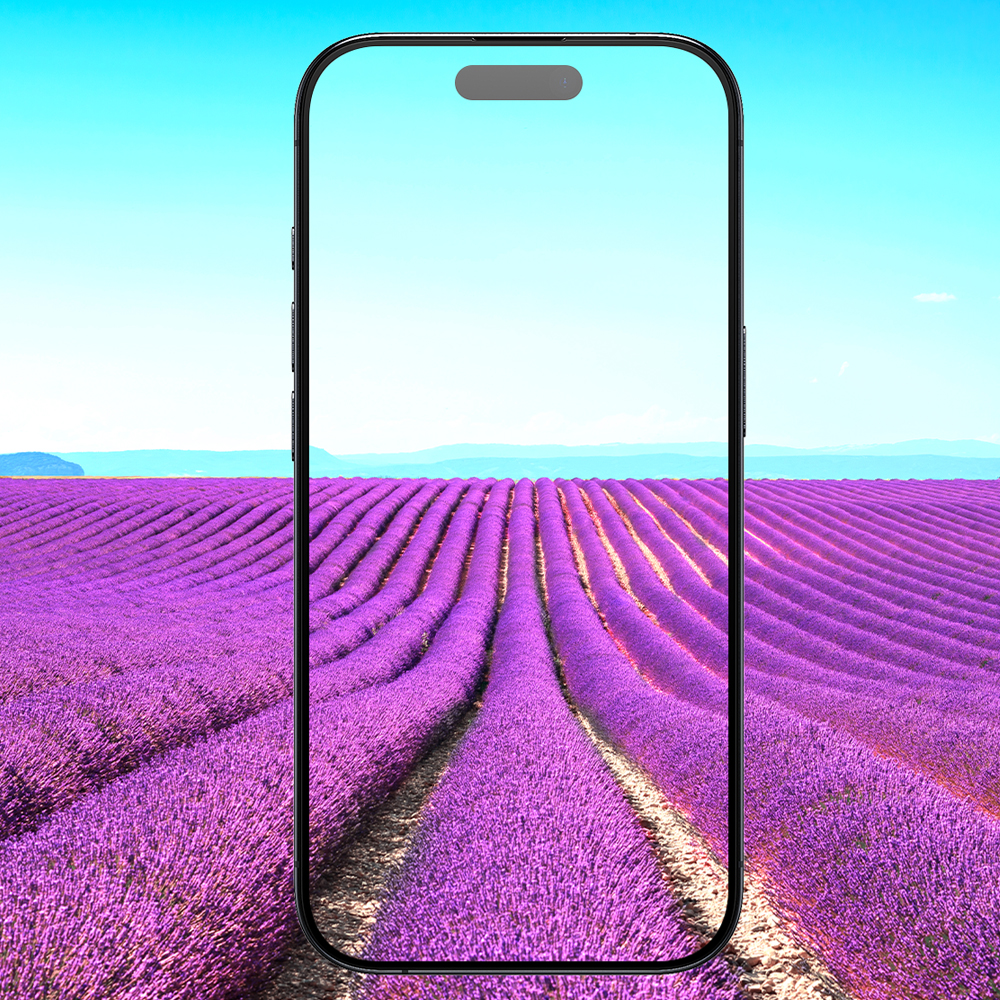 빅쏘 4D 풀커버 강화유리 필름 아이폰16 프로, 1매입