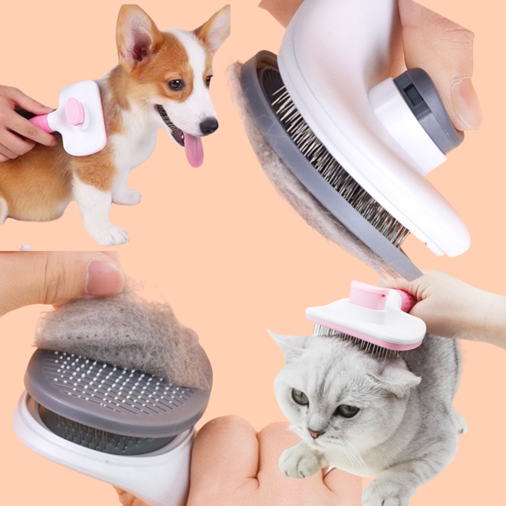 원터치 애견 강아지 고양이 털빗 털갈이 죽은털 엉킨털 제거 브러쉬 안아픈 개빗