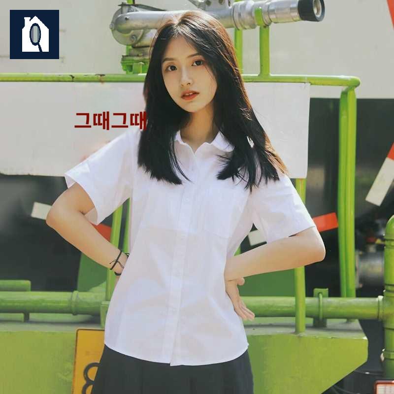 스탠드 와이셔츠 셔츠 여성 여름 흰색 유니폼 반팔 화이트 카라 교복 - 상세 이미지 4