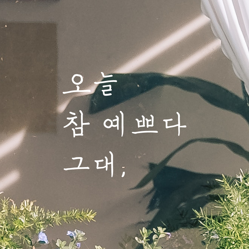 오늘 참 예쁘다 그대 힐링 문구 손글씨 레터링 스티커 LH-001검정S - 상세 이미지 2