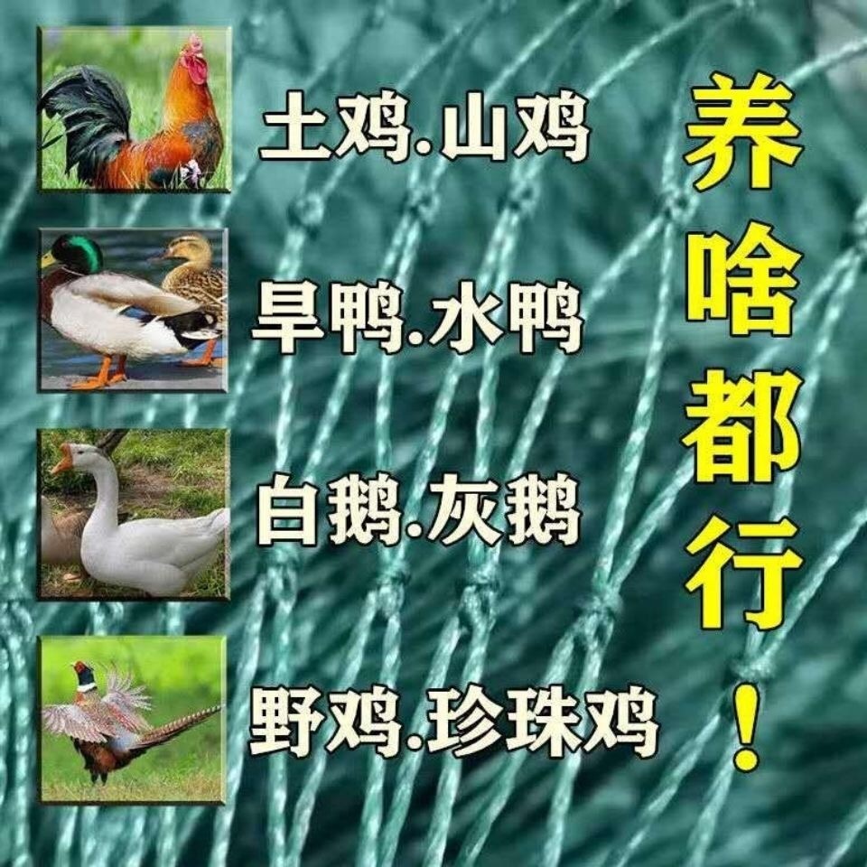 벌집망 노루망 울타리망 울타리철망 - 상세 이미지 4