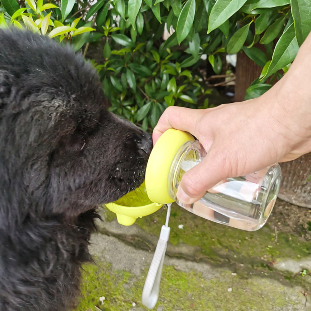 개과천선 마쿠라운 휴대용 물병 강아지 고양이 원터치 급수대 누수방지 산책 용품 물통 방수 - 상세 이미지 2