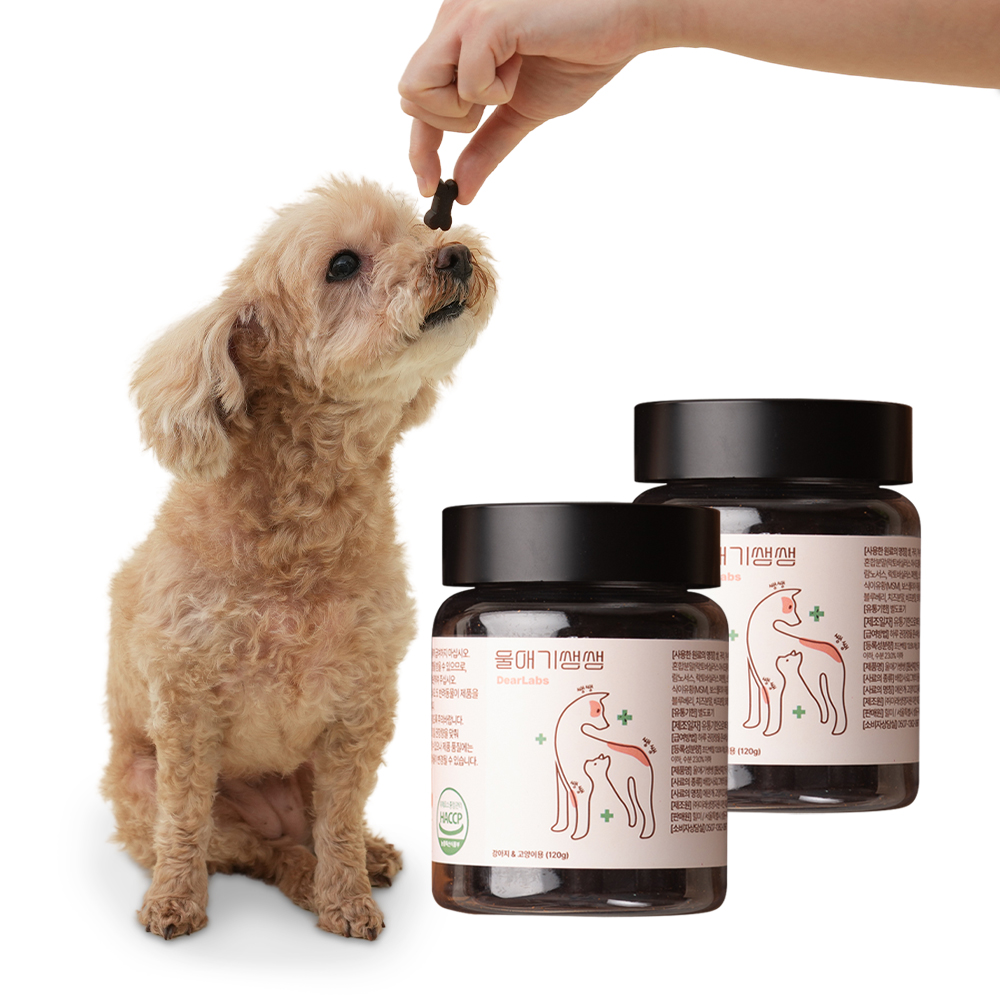 울애기쌩쌩 디어랩스 강아지 종합영양제 눈 피부 관절 면역 장 120g, 2개