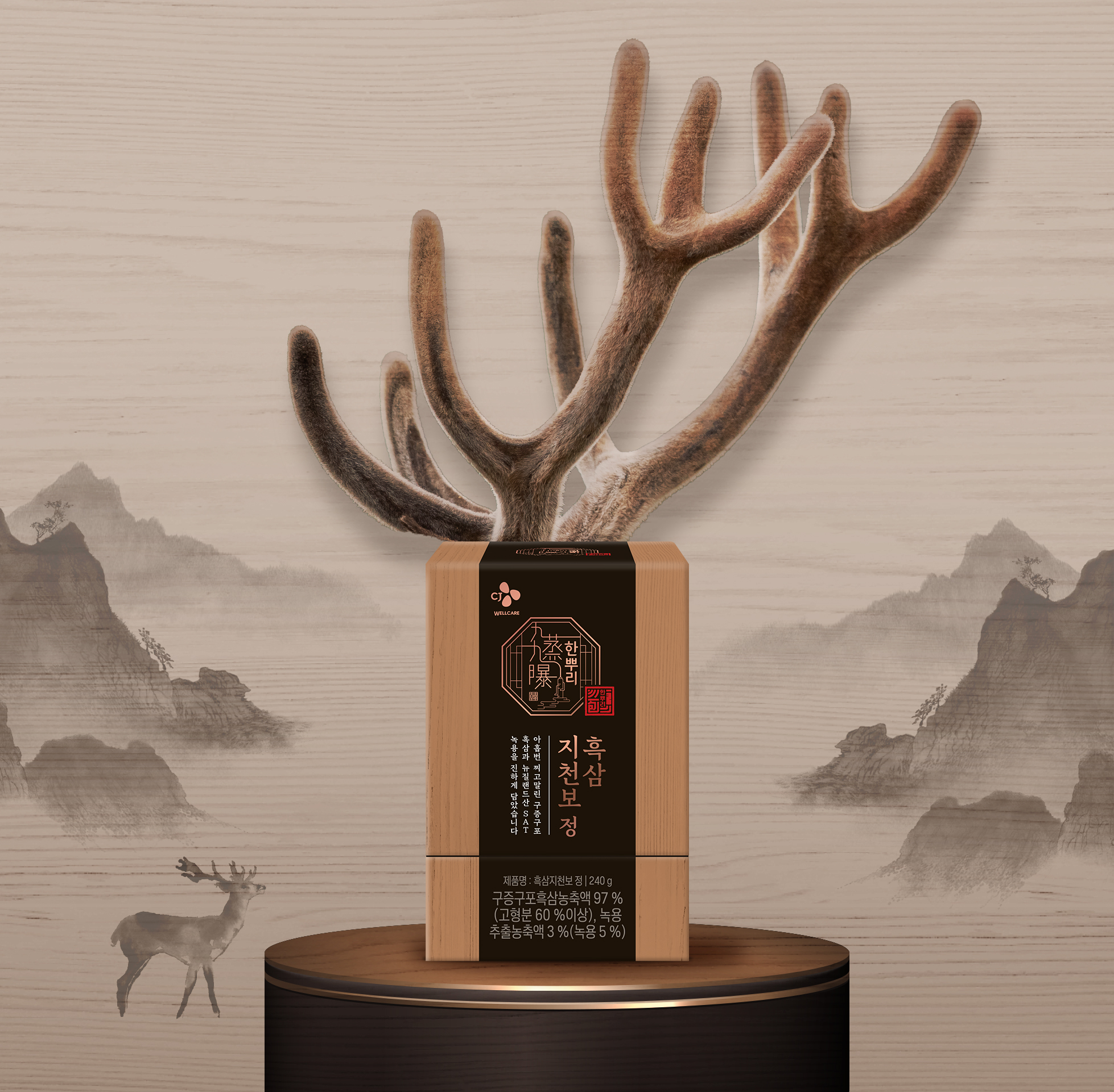 CJ웰케어 한뿌리 흑삼지천보 정 240g