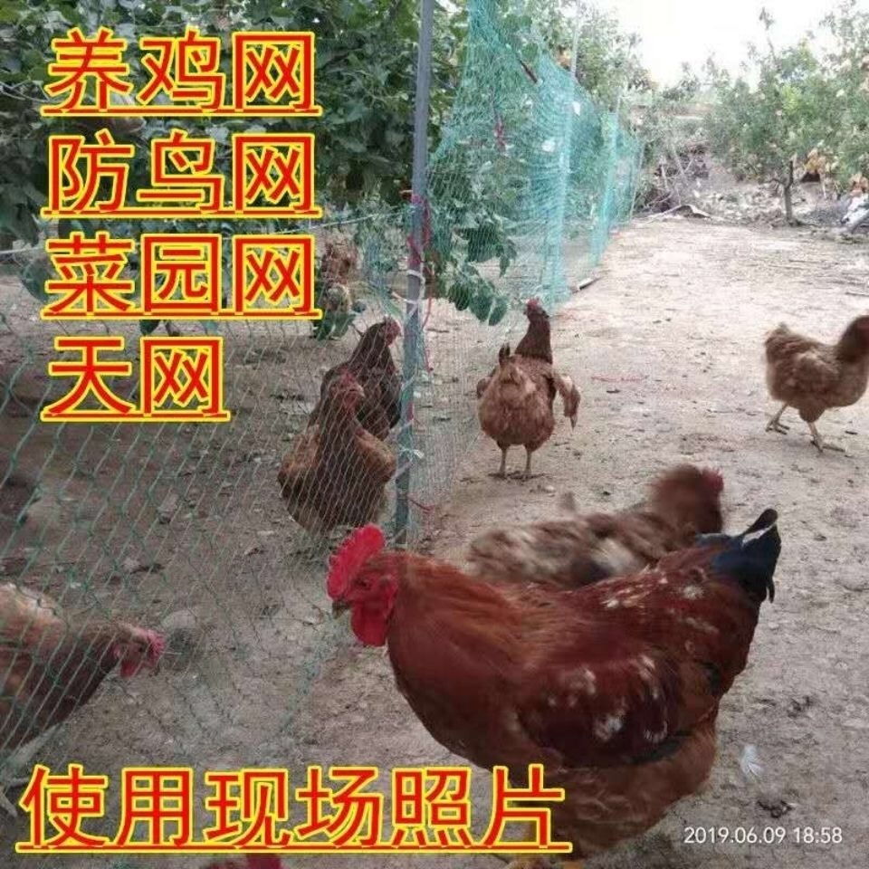 벌집망 노루망 울타리망 울타리철망 - 상세 이미지 5
