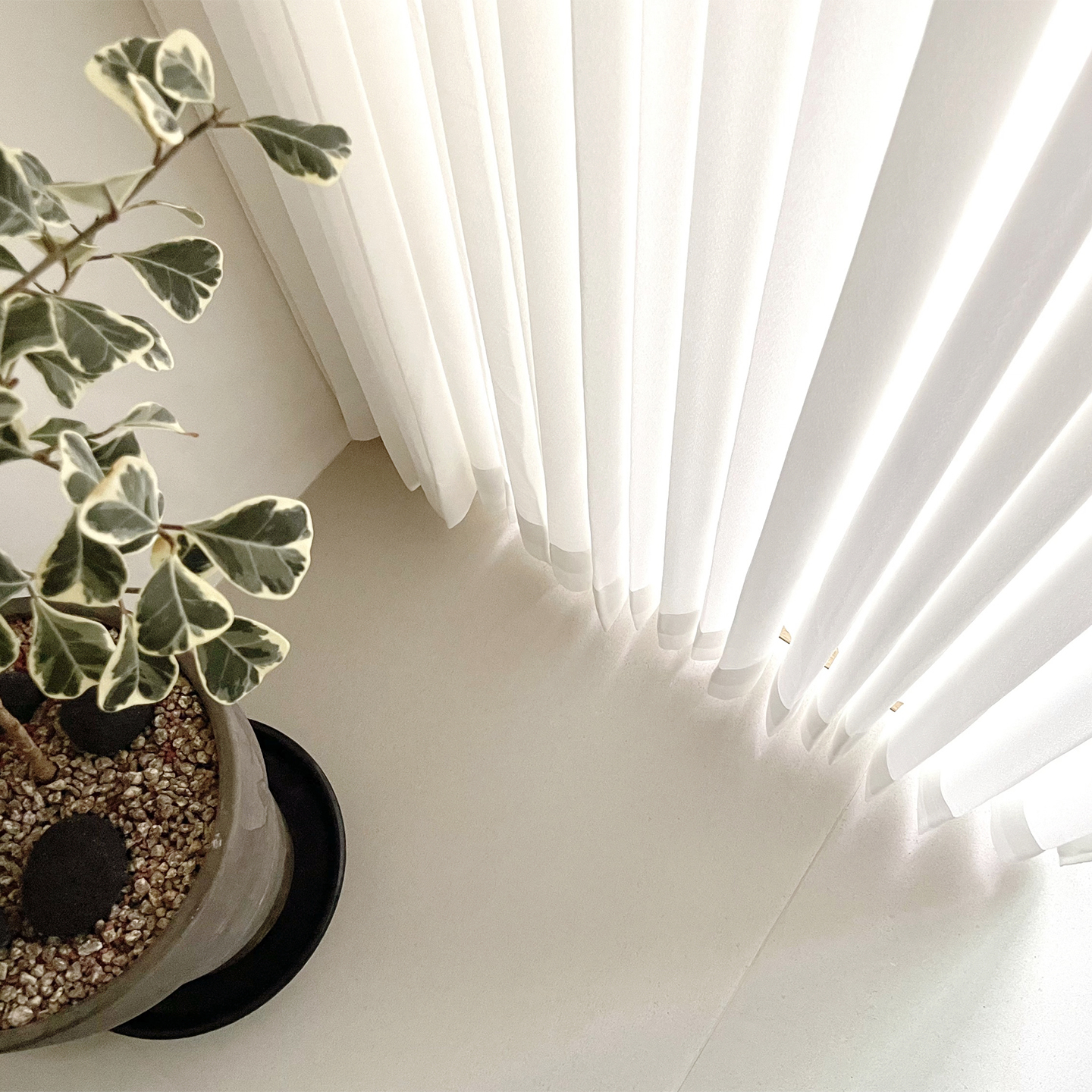 아르일랑 2배 베이직 나비주름 쉬폰 차르르 커튼 1cm 심플 도톰 화이트 형상기억