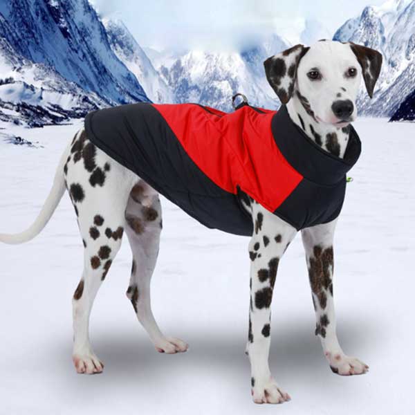 2XL 대형견 중형견 강아지 겨울 애견 옷 방한 패딩 조끼 외출 산책 하네스 의류 대형 진돗개 도베르만