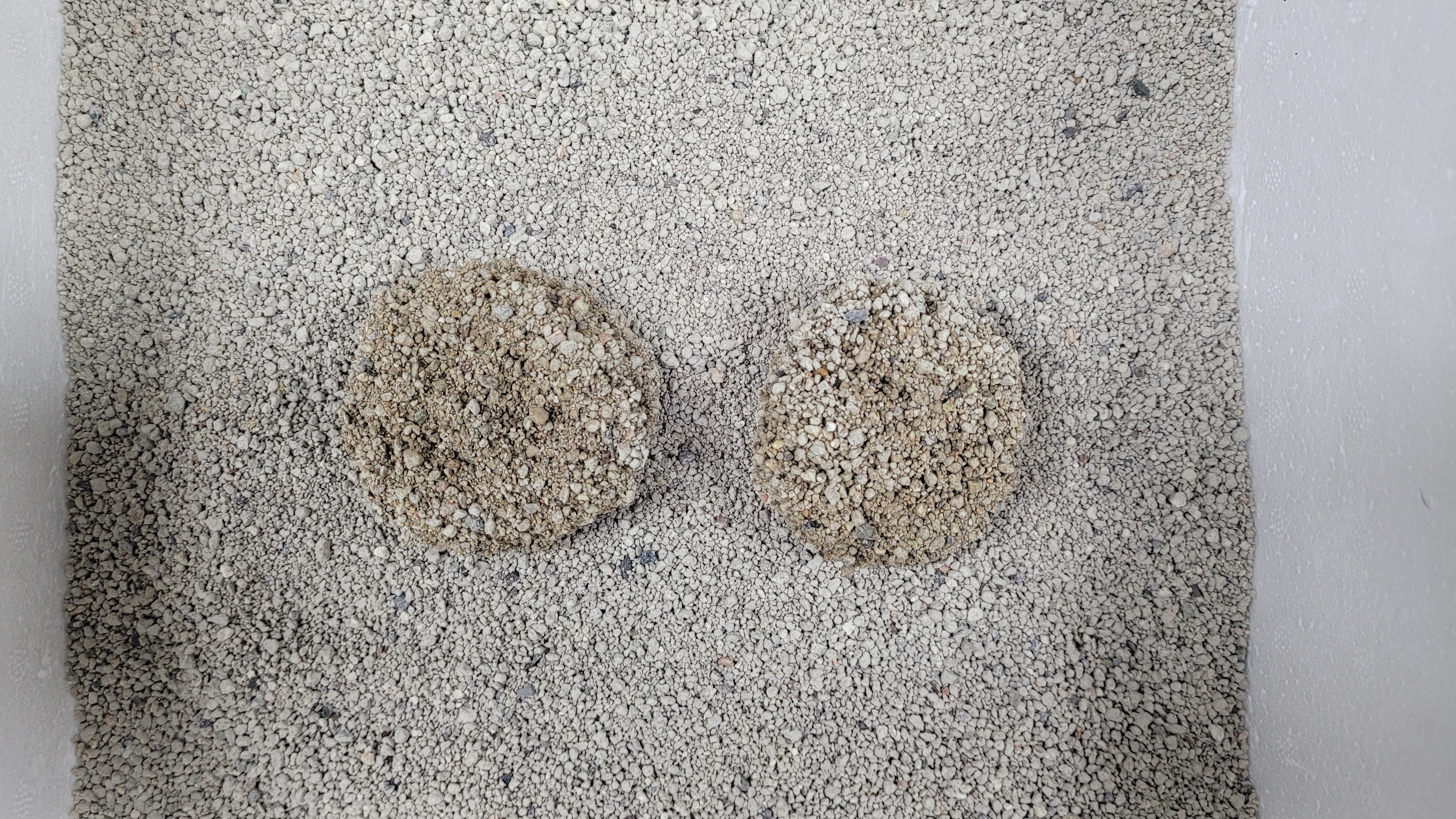 모찌네모래 베이직소프트 캣 샌드 고양이모래 무향, 18kg, 1개