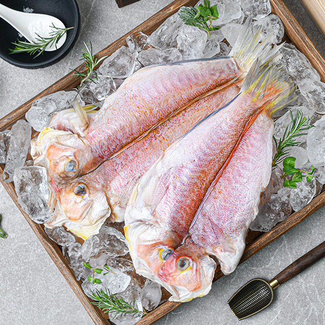 [제주시수협] 프리미엄 왕특대 제주 옥돔 VIP 2.4kg 800g x 3팩 이바지 선물 - 상세 이미지 2