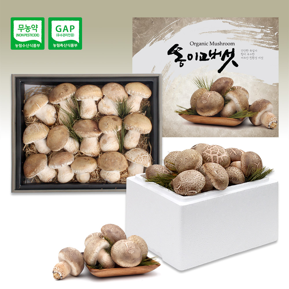 산지직송 당일수확 무농약 최상급 1등급 2등급 3등급 송이고버섯 1kg 선물세트 - 상세 이미지 2