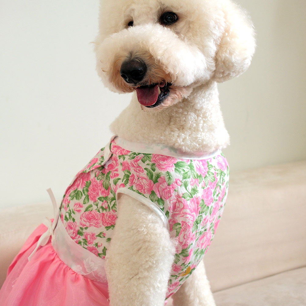 강아지한복 고양이 애견 강아지옷 연화당옐로S 이미지 6