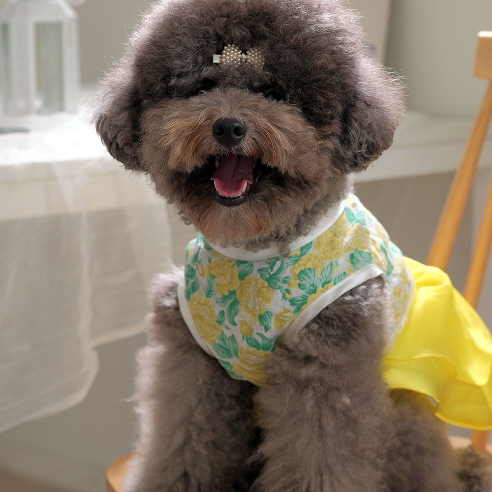 강아지한복 고양이 애견 강아지옷 연화당옐로S 이미지 8