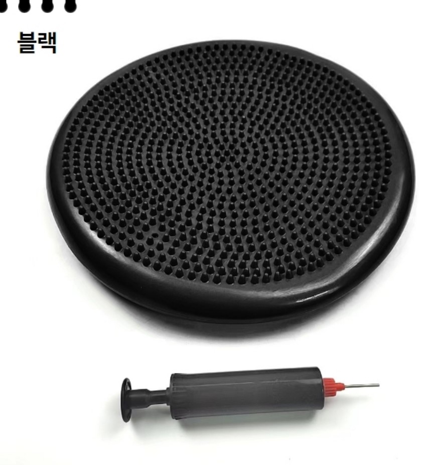 강아지짐볼 운동기구 애견 밸런스볼 이미지 8