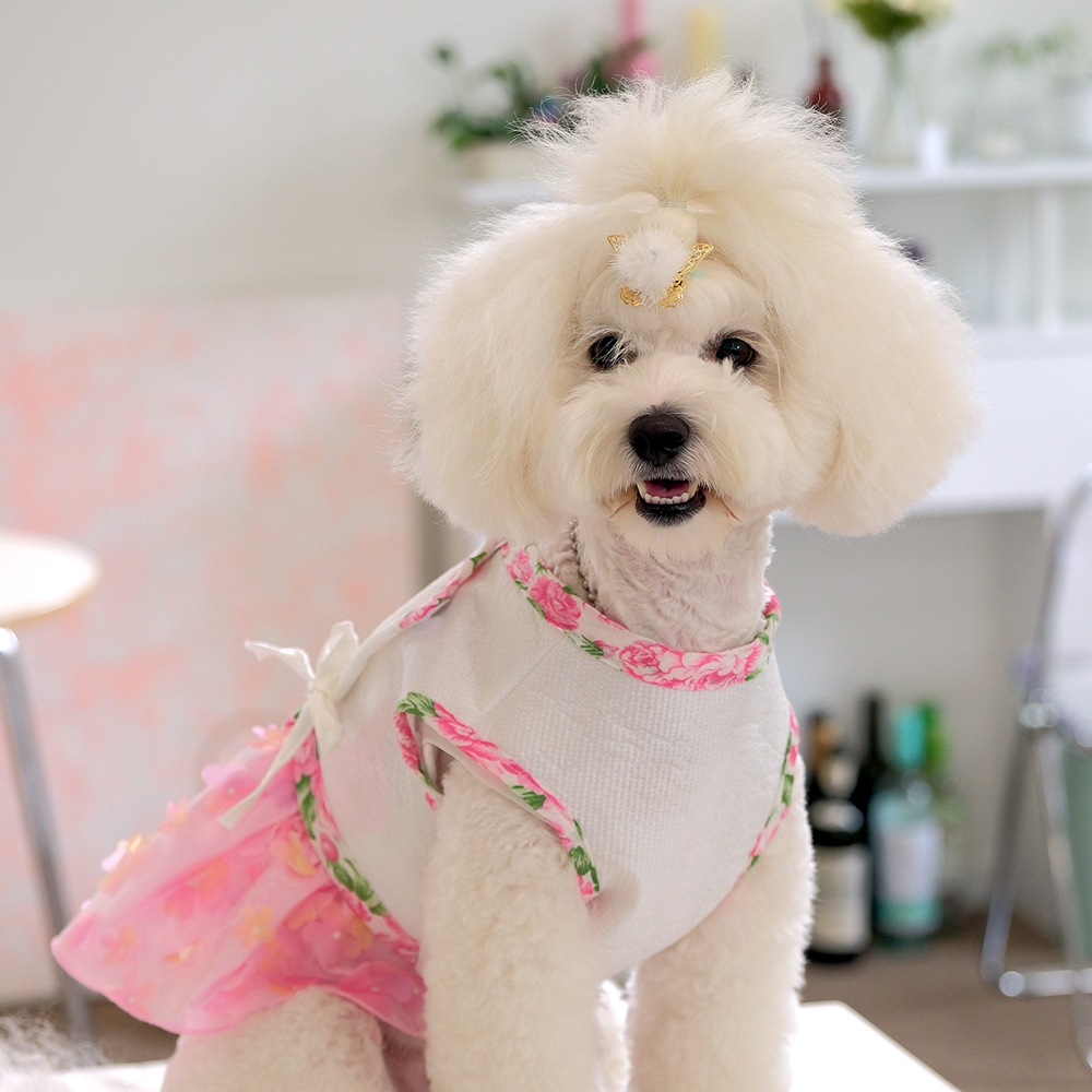 강아지한복 고양이 애견 강아지옷 연화당옐로S - 상세 이미지 5