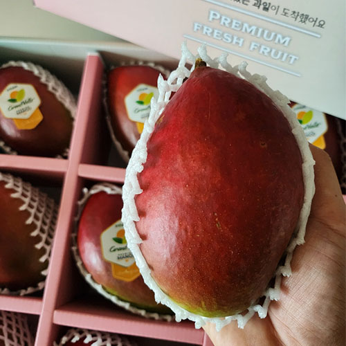[신선더함] 브라질 레드 애플망고 4kg 선물세트 항공수입 이미지 6