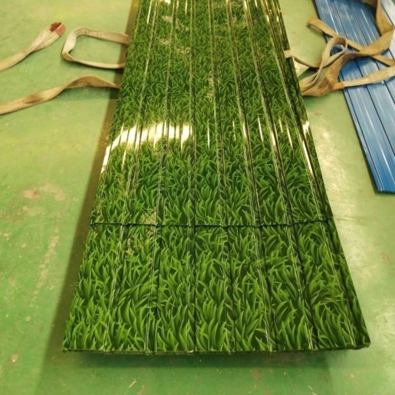 칼라 강판 지붕 슬레이트 마감재 캐노피