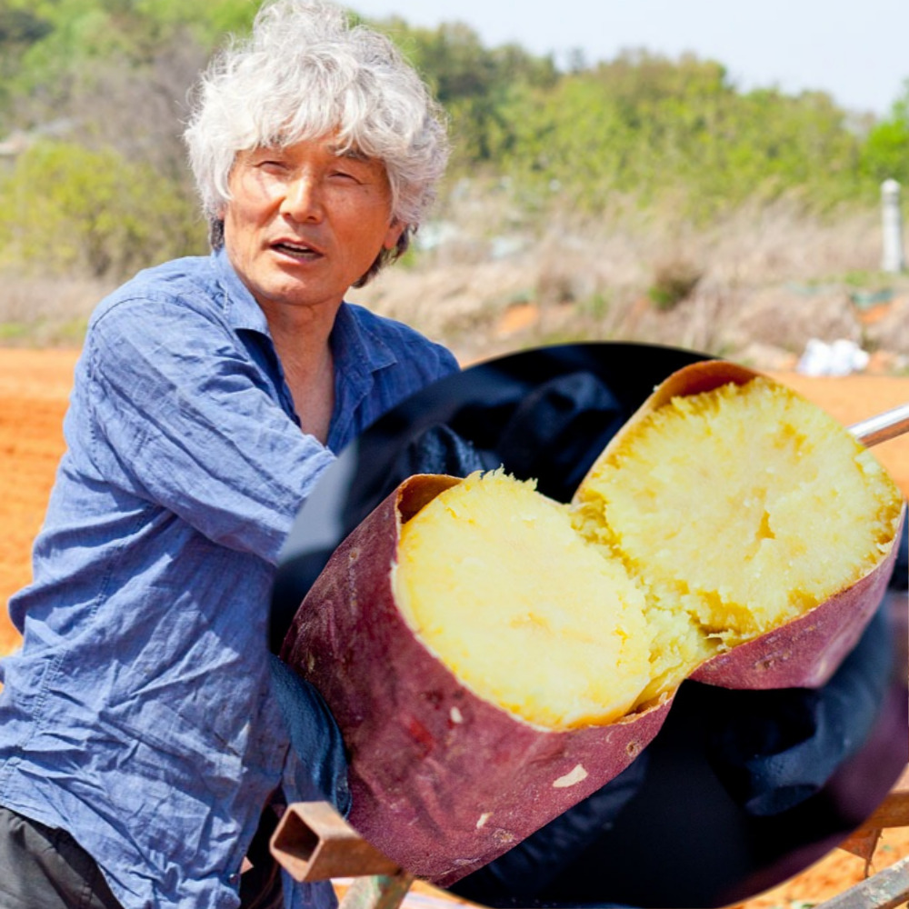 유기농 꿀밤 달수 고구마 3kg 한입사이즈 2024 수확 햇