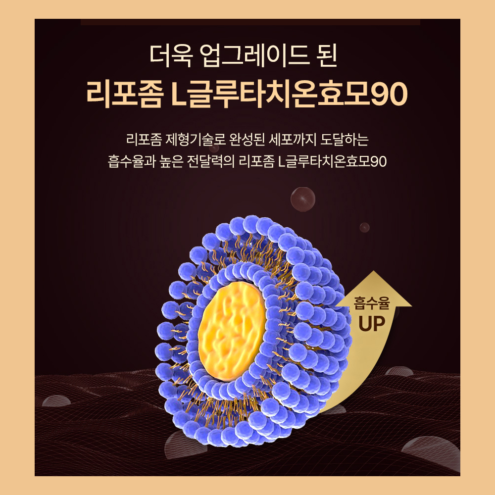 리포좀 글루타치온 모음 60정, 1개 이미지 6