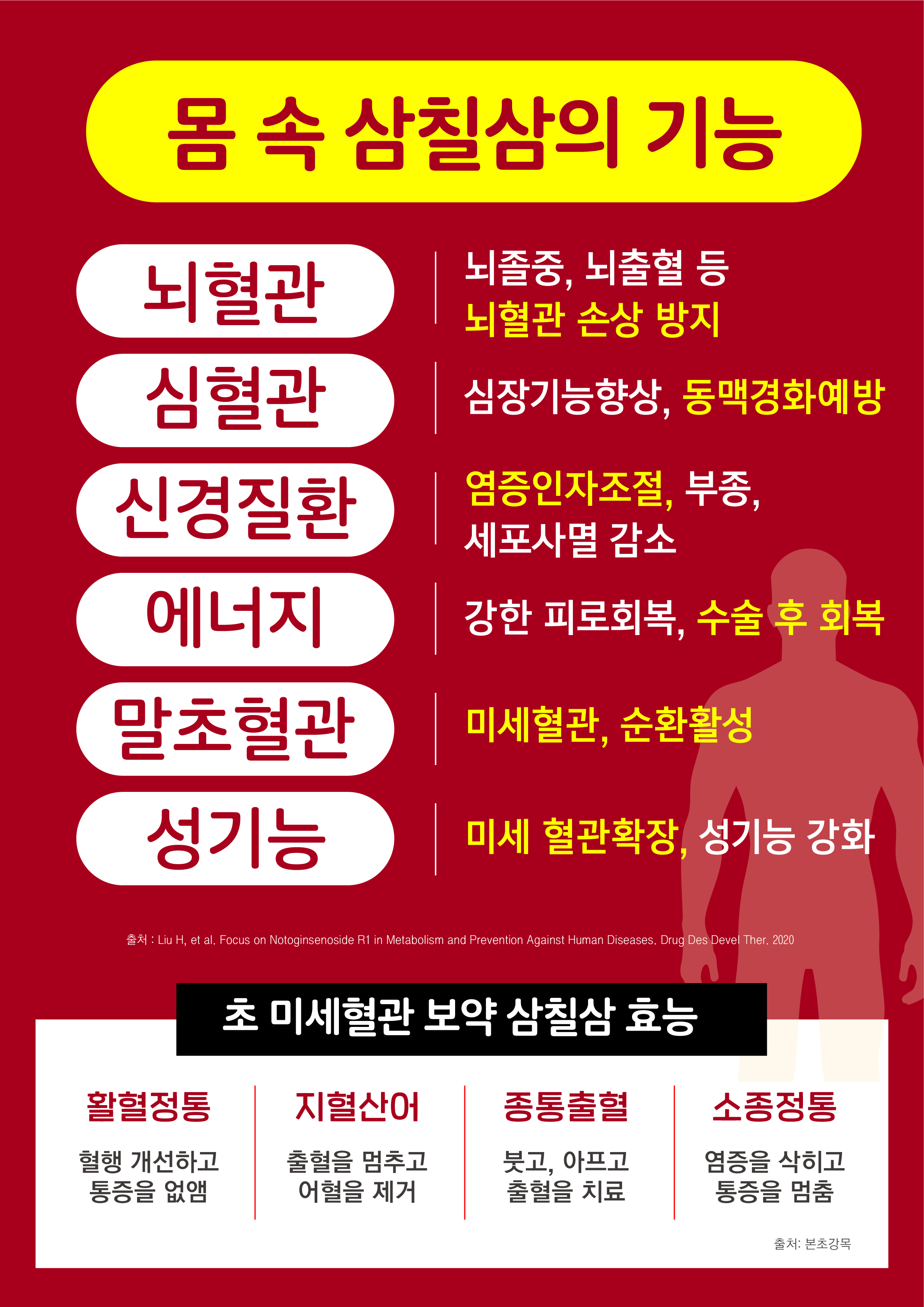 노토진생 전칠삼 1000 황금 당귀 저분자효모 60포 x 5개 - 상세 이미지 4