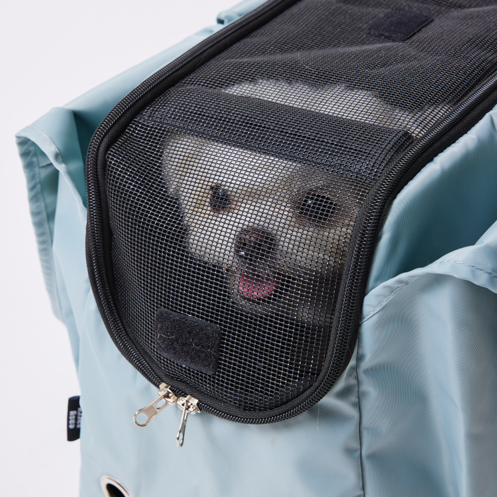 3651 이지캐리백 강아지 가방 고양이 이동장 캐리어 베이비 블루, 대형