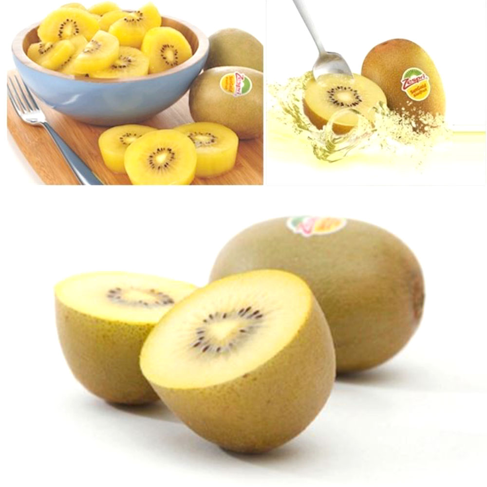 제스프리 골드키위 선물세트 부드러운 제철 후숙 열대과일 골든열매