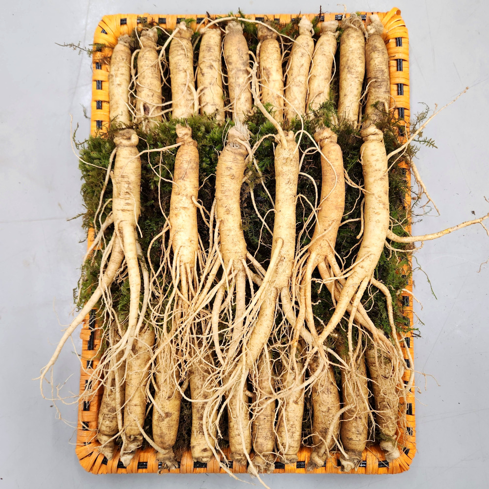금산수삼시장 인삼선물세트 원수삼 소1.2kg - 상세 이미지 3