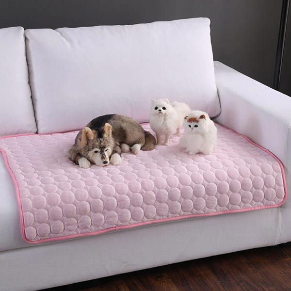 애견 쿨매트 Cool Core S 쿨코어 강아지 고양이 시원한 시트 패드 방석 여름 나들이 피크닉