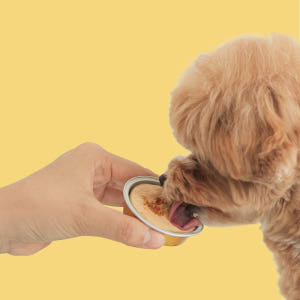 바잇미 포켓밀 하루 1포 영양관리 - 치킨(30gx6개입) 솔직 후기 | 실제 사용자 리뷰 총정리 - 상품 이미지 3